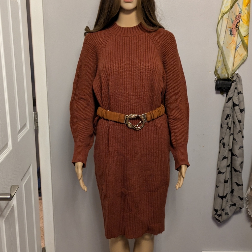 Express Mock Neck Copper Ribbed Sweater Dress
